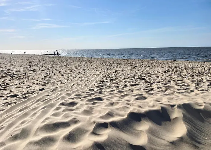 Duhner Whg 1 아파트 쿡스하펜